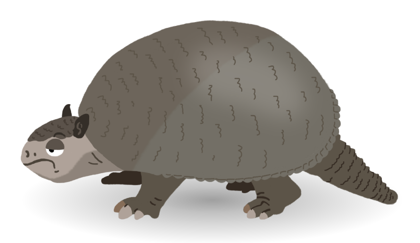 Armadillo